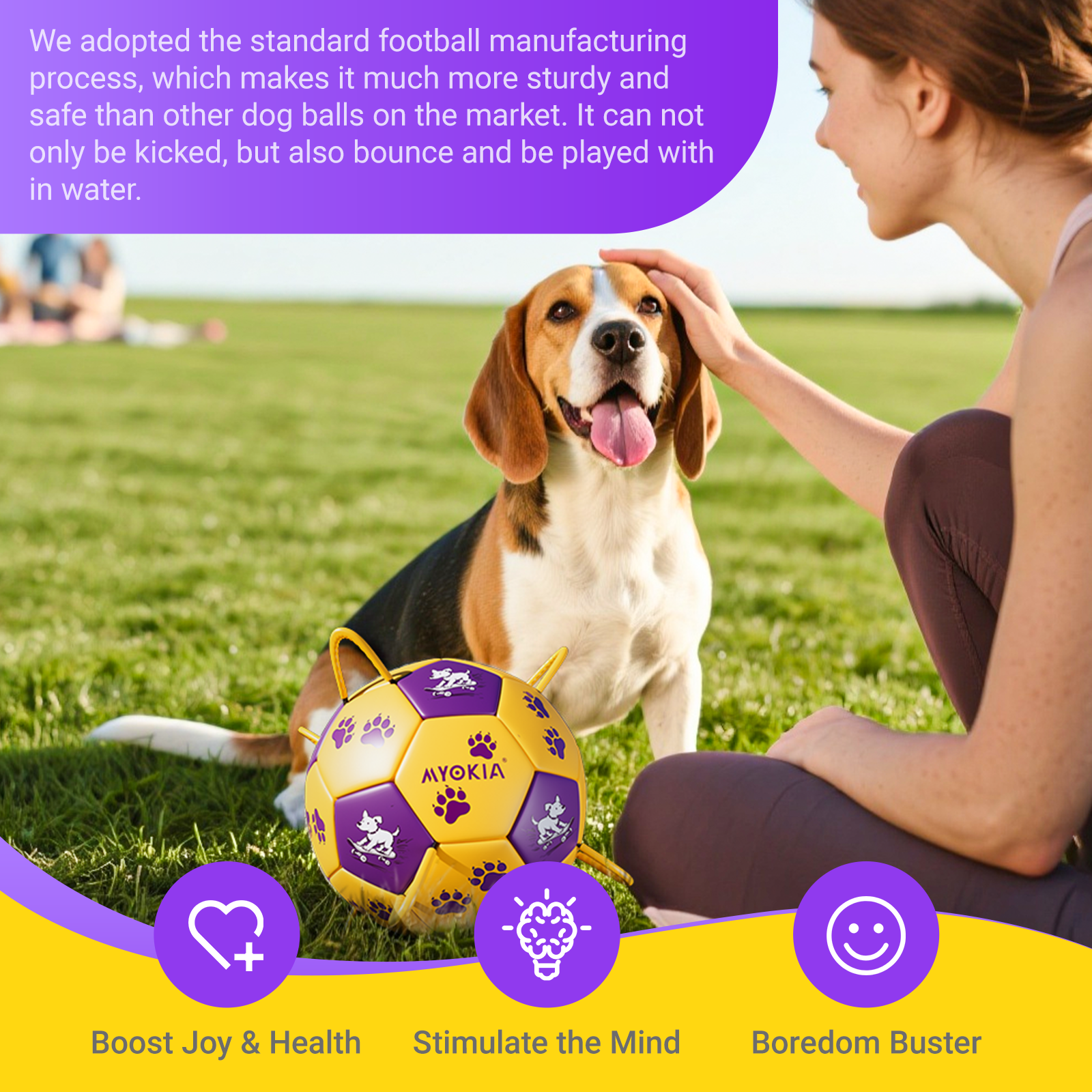 Size 2/Size 3 Dog Soccer Ball with Straps - Durable Training Ball for Pets Interactive Outdoor Dog Toy, for Small to Large Puppies, Pet Supplies