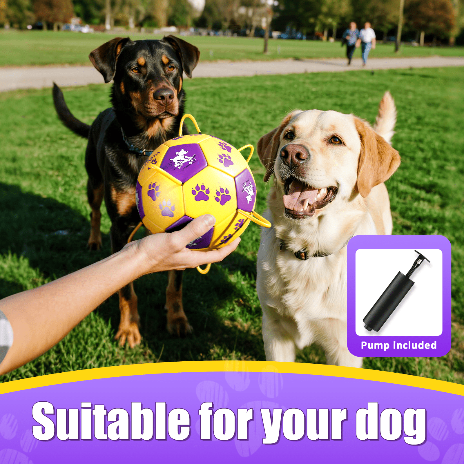 Size 2/Size 3 Dog Soccer Ball with Straps - Durable Training Ball for Pets Interactive Outdoor Dog Toy, for Small to Large Puppies, Pet Supplies - Family Watchs
