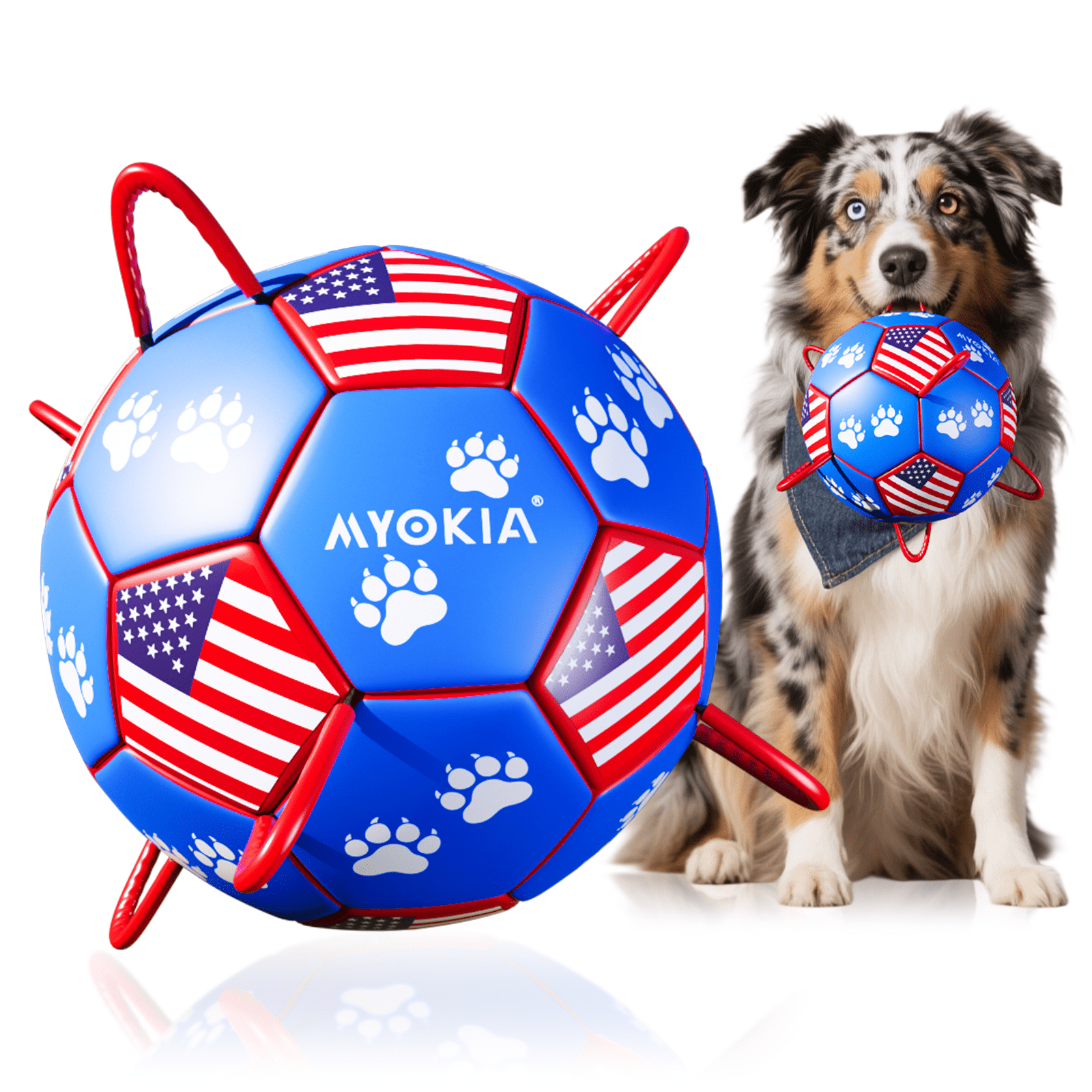 Size 2/Size 3 Dog Soccer Ball with Straps - Durable Training Ball for Pets Interactive Outdoor Dog Toy, for Small to Large Puppies, Pet Supplies - Family Watchs