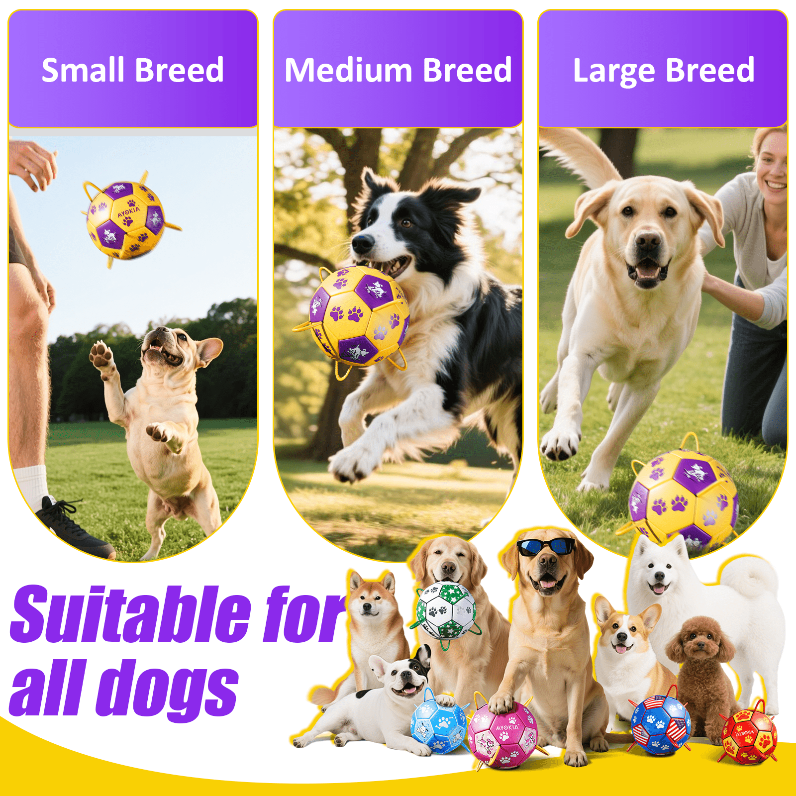 Size 2/Size 3 Dog Soccer Ball with Straps - Durable Training Ball for Pets Interactive Outdoor Dog Toy, for Small to Large Puppies, Pet Supplies - Family Watchs