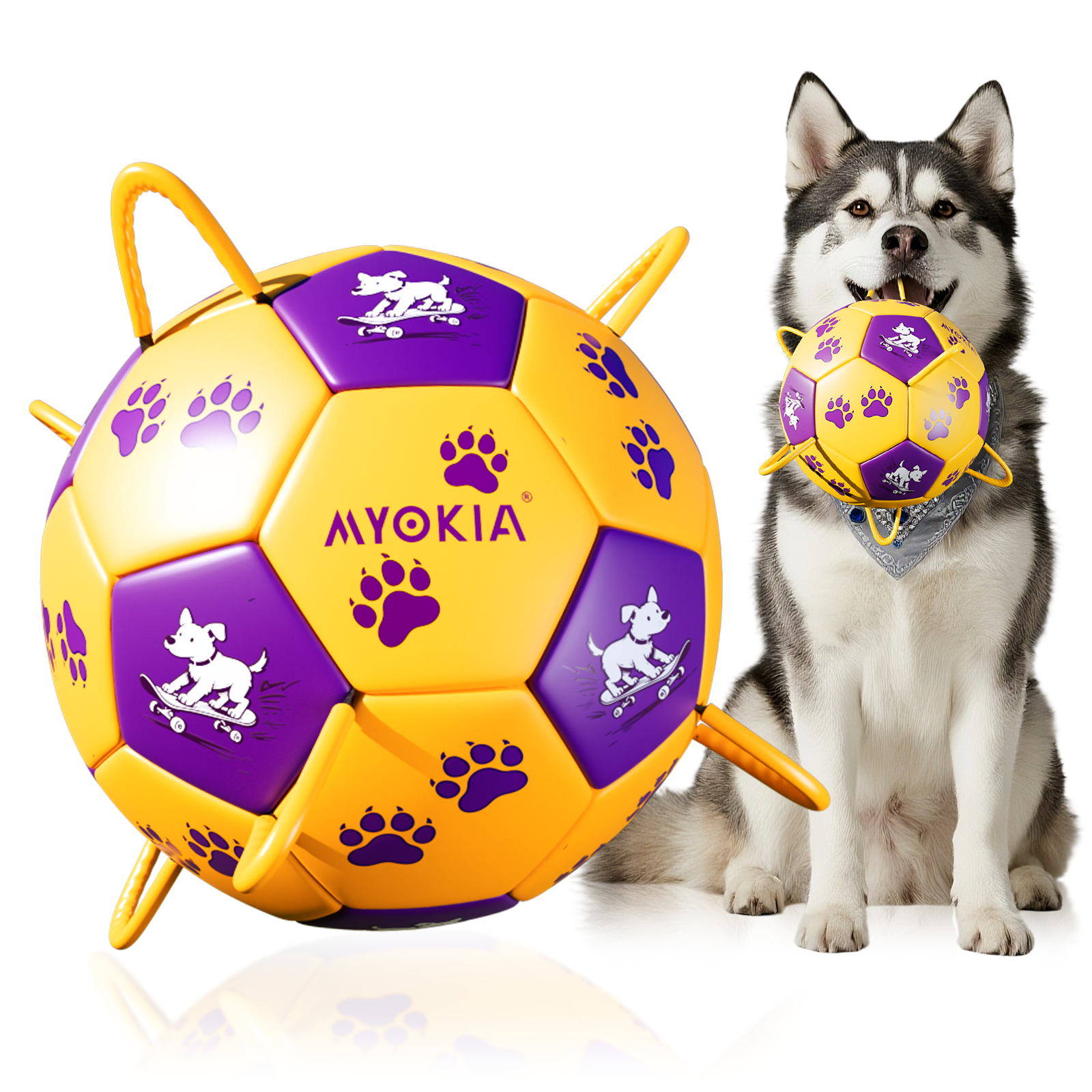 Size 2/Size 3 Dog Soccer Ball with Straps - Durable Training Ball for Pets Interactive Outdoor Dog Toy, for Small to Large Puppies, Pet Supplies