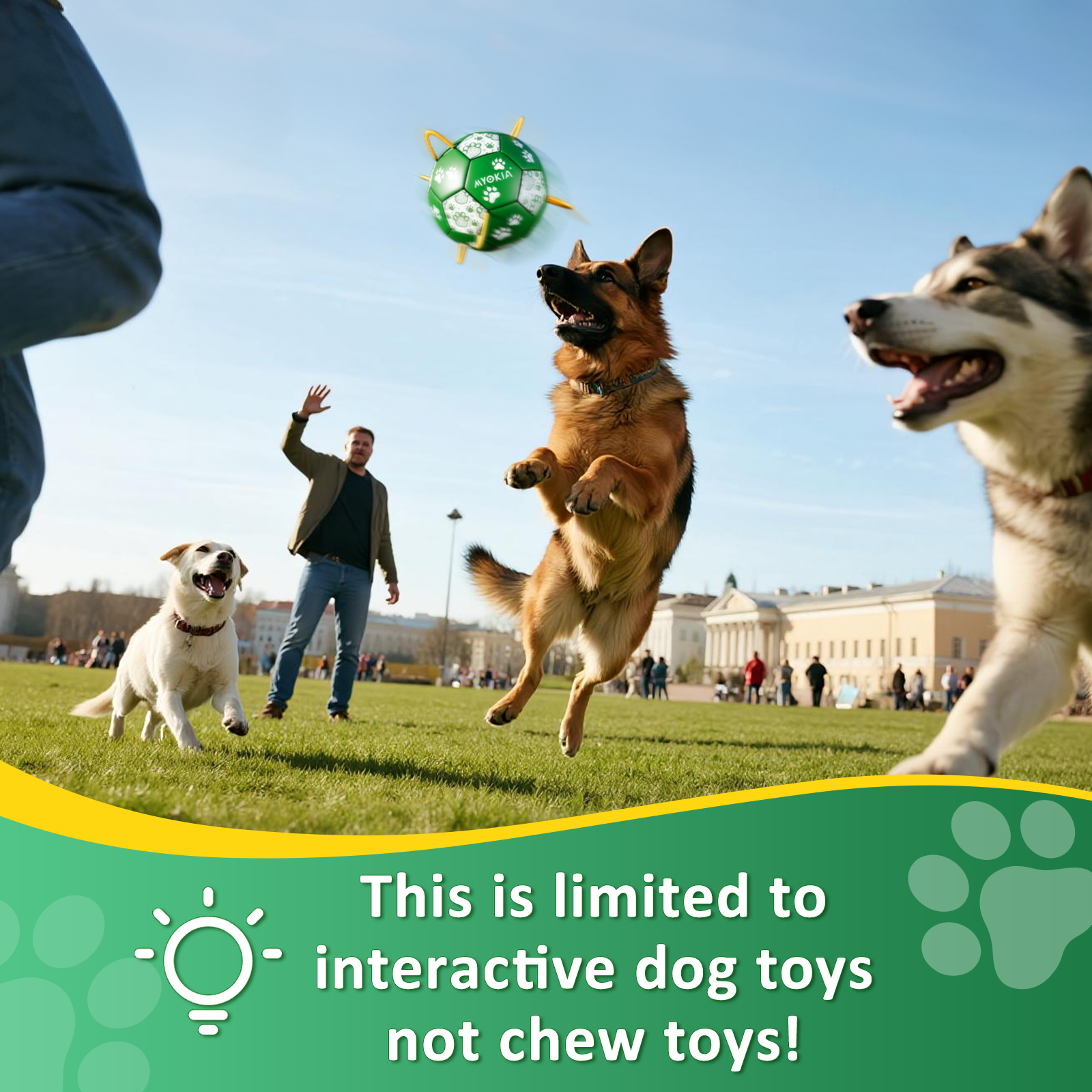 Size 2/Size 3 Dog Soccer Ball with Straps - Durable Training Ball for Pets Interactive Outdoor Dog Toy, for Small to Large Puppies, Pet Supplies