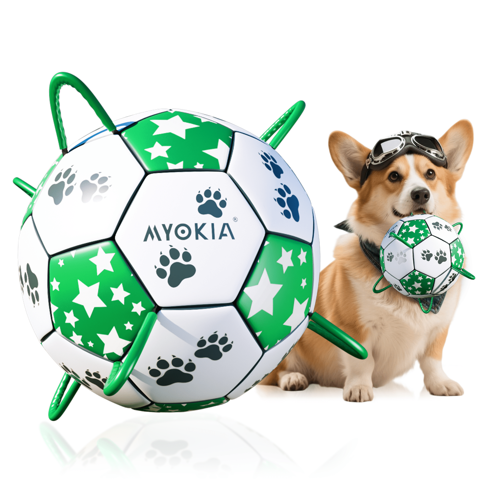 Interactive dog soccer strap, white and green, eye - catching star and paw pattern design, ideal outdoor training pet toy, perfect choice for small, medium and large dogs to play with - Family Watchs
