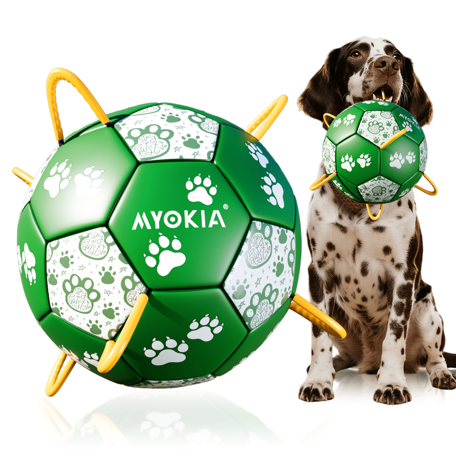 Size 2/Size 3 Dog Soccer Ball with Straps - Durable Training Ball for Pets Interactive Outdoor Dog Toy, for Small to Large Puppies, Pet Supplies - Family Watchs