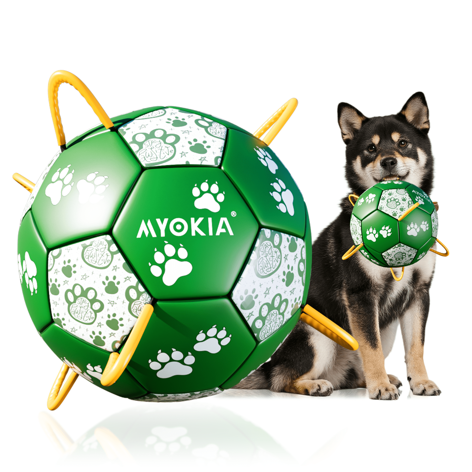 Size 2/Size 3 Dog Soccer Ball with Straps - Durable Training Ball for Pets Interactive Outdoor Dog Toy, for Small to Large Puppies, Pet Supplies - Family Watchs