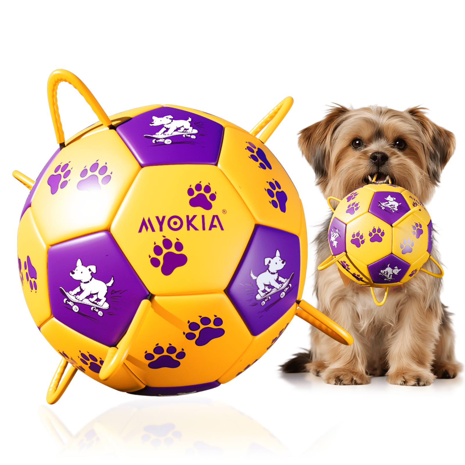 Size 2/Size 3 Dog Soccer Ball with Straps - Durable Training Ball for Pets Interactive Outdoor Dog Toy, for Small to Large Puppies, Pet Supplies - Family Watchs